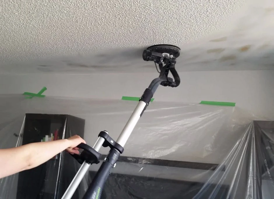 Rich results on Google Serp when searching for “popcorn removal company grand forks nd”